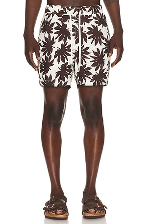 Charles 5 Swim Trunk onia