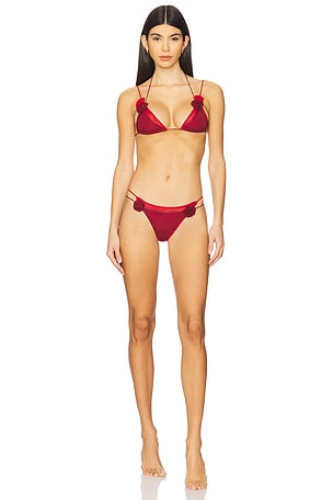 Rose Two Piece Bikini Set Oseree