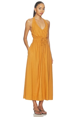 PAIGE Alysha Dress in Rust