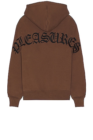 Pleasures Neural Hoodie in Brown REVOLVE