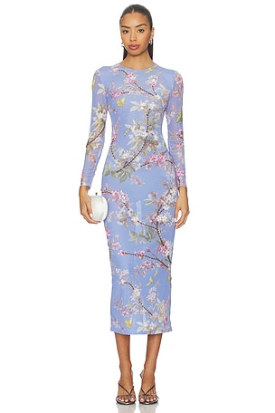 Delicata Embroidered Tulle Midi Dress PatBO