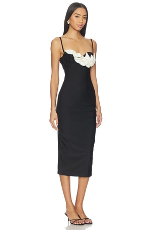 PatBO Selene Mesh Flower Applique Midi Dress in Black