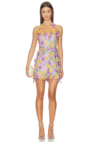 Tulle Pina Embroidered Mini Dress PatBO