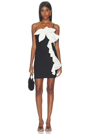 Taffeta Tarsila Mini Dress PatBO