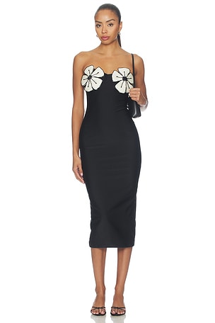 Midnight Bloom Lycra Midi Dress PatBO
