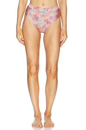 Seaweed High Waist Bikini Bottom PatBO