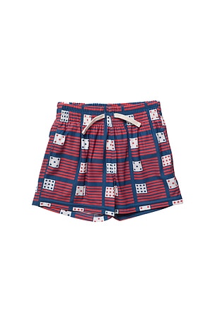 Pink Chicken Boys Swim Trunk in Multi