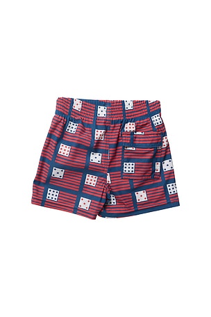 Pink Chicken Boys Swim Trunk in Multi