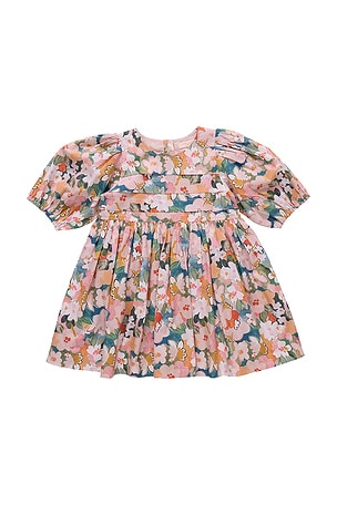 Evelyn Dress Pink Chicken