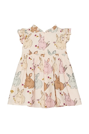 Pink Chicken Girls Jennifer Double Ruffle Dress in Blush