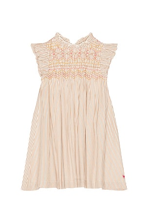 Pink Chicken Girls Stevie Dress in Brown