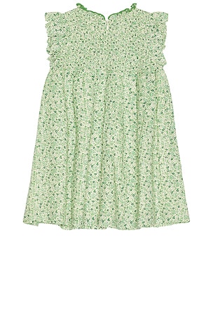 Pink Chicken Girls Stevie Dress in Green