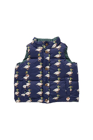 Pink Chicken Reversible Ellis Vest in Green