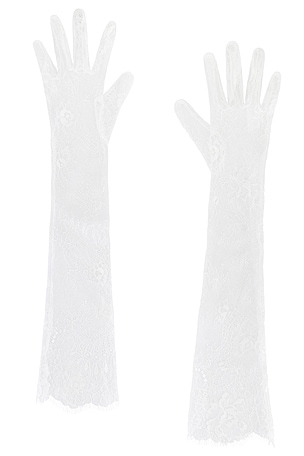Lace Opera Gloves petit moments