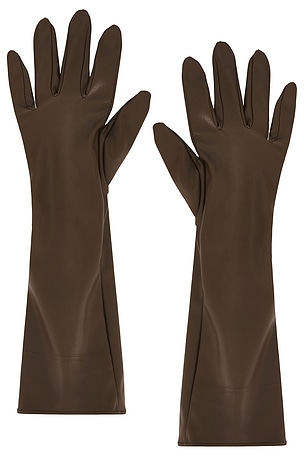 Carmen Gloves petit moments