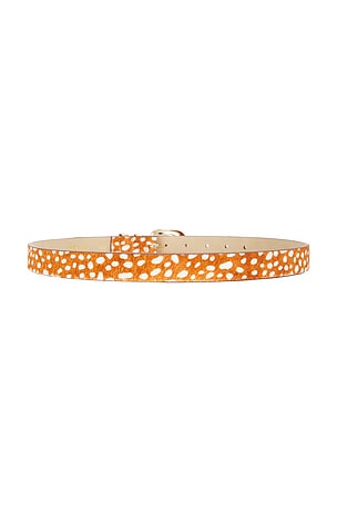 petit moments Atlas Belt in Brown