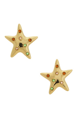 Small Sea Star Earrings petit moments