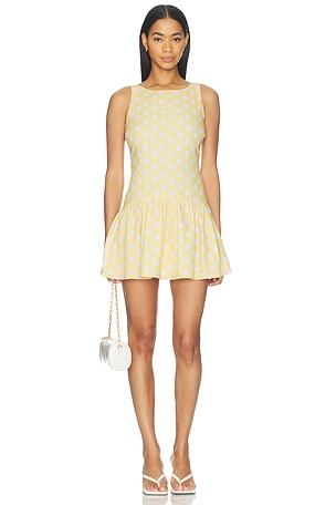 Addison Mini Dress PEIXOTO