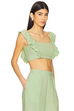 PEIXOTO Jocelyn Crop Top in Green