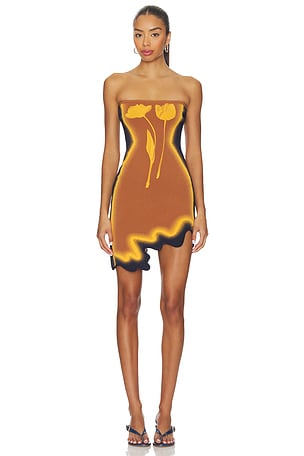 Lyndon Wavy Mini Dress PH5