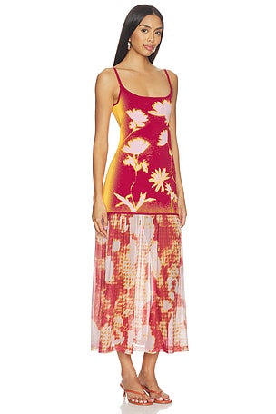 PH5 Ginger Flower Print Tank Dress in Orange,Burgundy