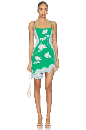 Lyndon Wavy Mini Dress PH5