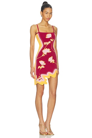 PH5 Lyndon Wavy Mini Dress in Burgundy,Orange