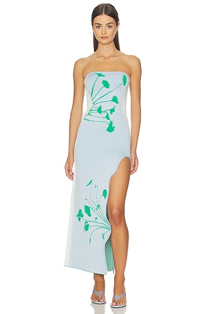 Iris Flower Print Maxi Tank Dress PH5