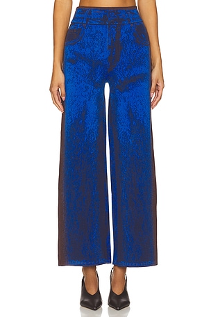 Zahra Wide Leg Pants PH5