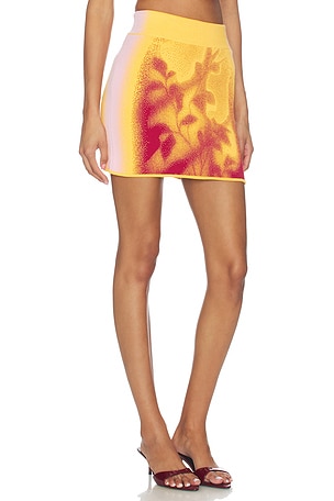 PH5 Alani Window Print Mini Skirt in Orange