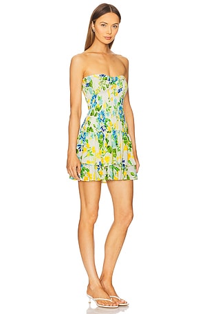 PQ Marie Ruffle Dress in Green,Blue