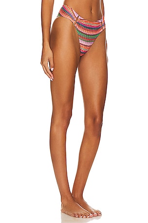 PQ Detail Fanned Bikini Bottom in Pink