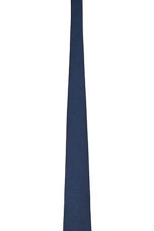 Polo Ralph Lauren Silk Natte Pin Dot Neck Tie in Blue