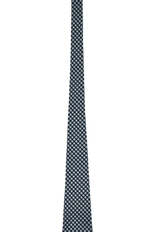 Polo Ralph Lauren Micro Gingham Vintage Neck Tie in Blue