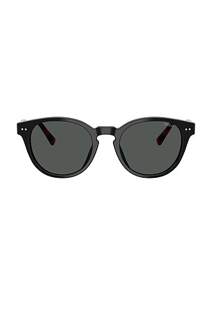 Phantos Sunglasses Polo Ralph Lauren