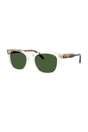 Polo Ralph Lauren Square Sunglasses in Brown