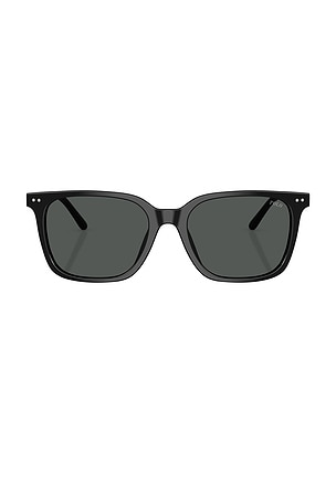 Square Sunglasses Polo Ralph Lauren