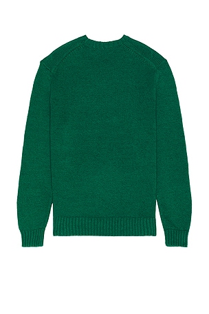 Polo Ralph Lauren Heritage Icon Bear Crewneck Sweater in Green
