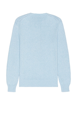 Polo Ralph Lauren Beach Shop Bear Crewneck Sweater in Baby Blue