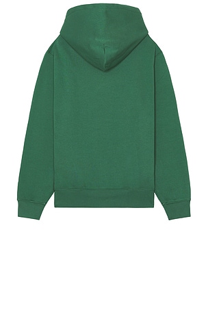 Polo Ralph Lauren Fleece Novelty Bear Hoodie in Green