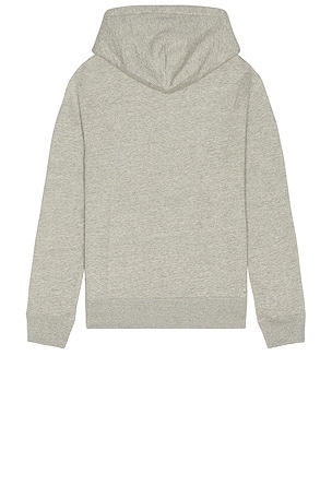 Polo Ralph Lauren Novelty Heritage Bear Hoodie in Grey