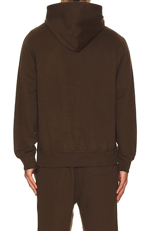 Polo Ralph Lauren Long Sleeve Rl Fleece Pullover Hoodie in Brown