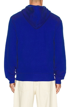 Polo Ralph Lauren Novelty Polo Society Bear Full-zip Hooded Sweatshirt in Royal