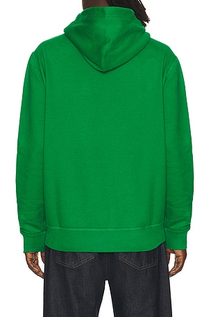 Polo Ralph Lauren RL Fleece Pullover Hoodie in Green