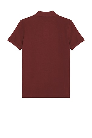 Polo Ralph Lauren Short Sleeve Cotton Mesh Novelty Bear Polo in Burgundy