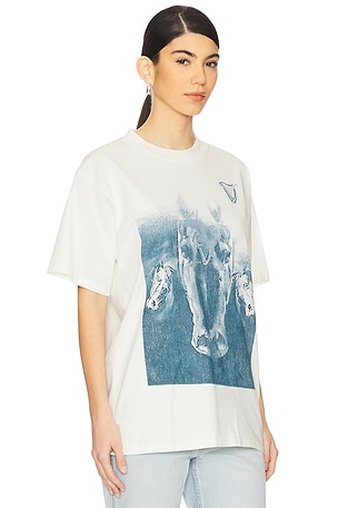 Philcos Guinness Horse Boxy Tee in Cream