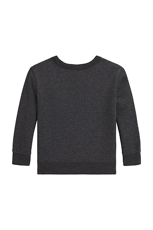 Polo Ralph Lauren Long Sleeve Fleece Bear Graphic Crewneck Sweatshirt in Grey