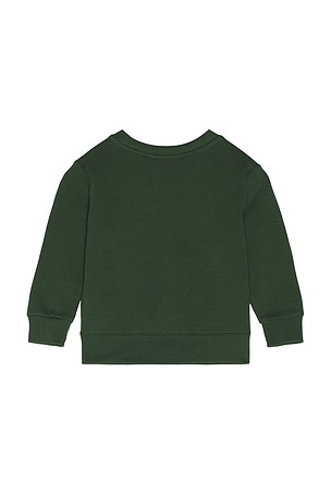 Polo Ralph Lauren Long Sleeve Fleece Bear Graphic Crewneck Sweatshirt in Green