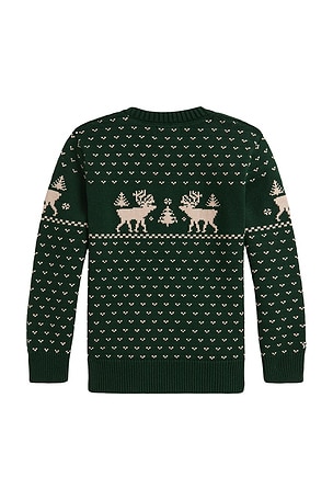 Polo Ralph Lauren Long Sleeve Intarsia Reindeer Sweater Coverall in Green