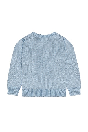 Polo Ralph Lauren Long Sleeve Combed Cotton Flag Crewneck Sweater in Blue